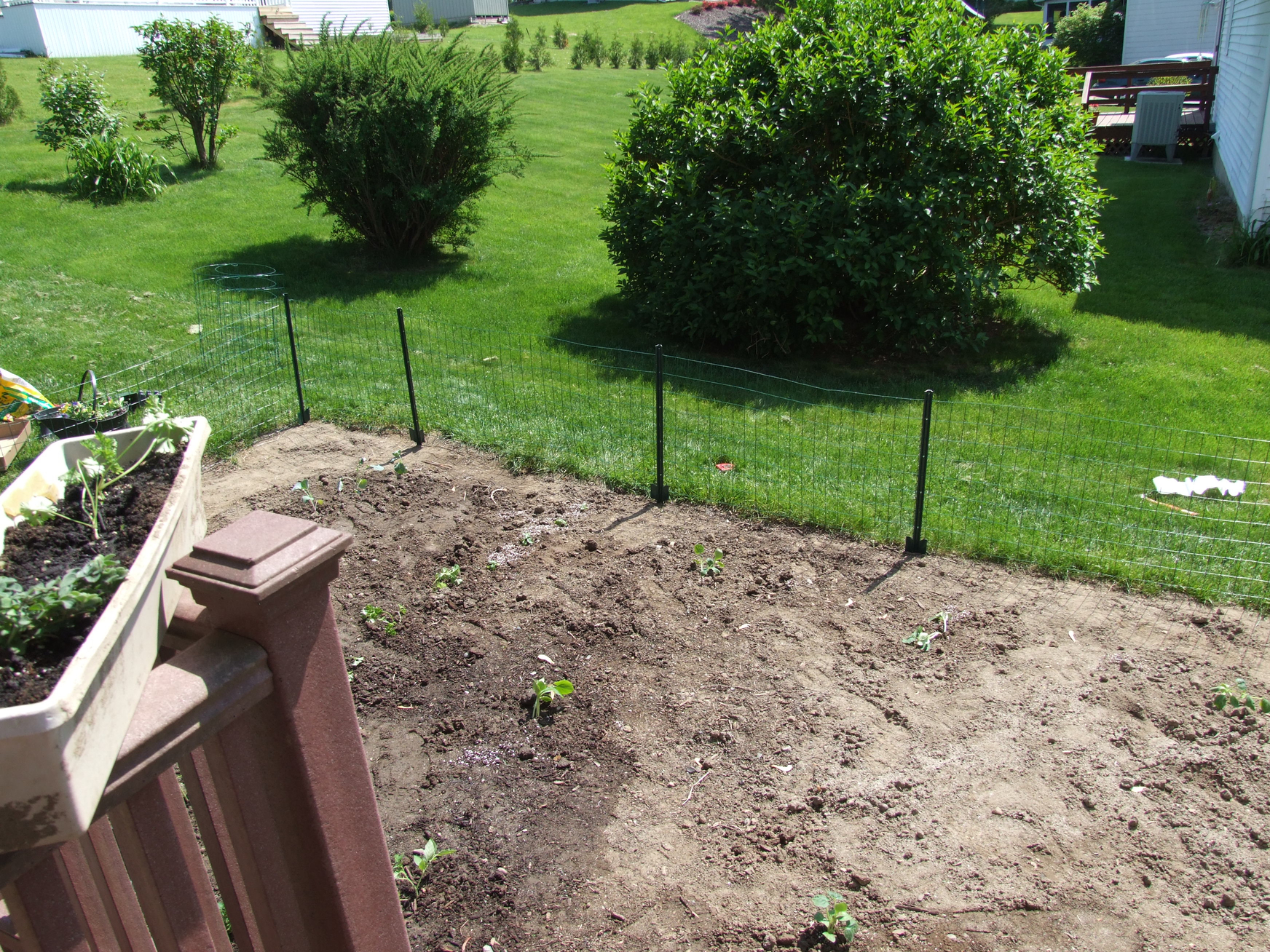 Planting the Garden - May 20, 2012