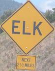 elk-close.jpg