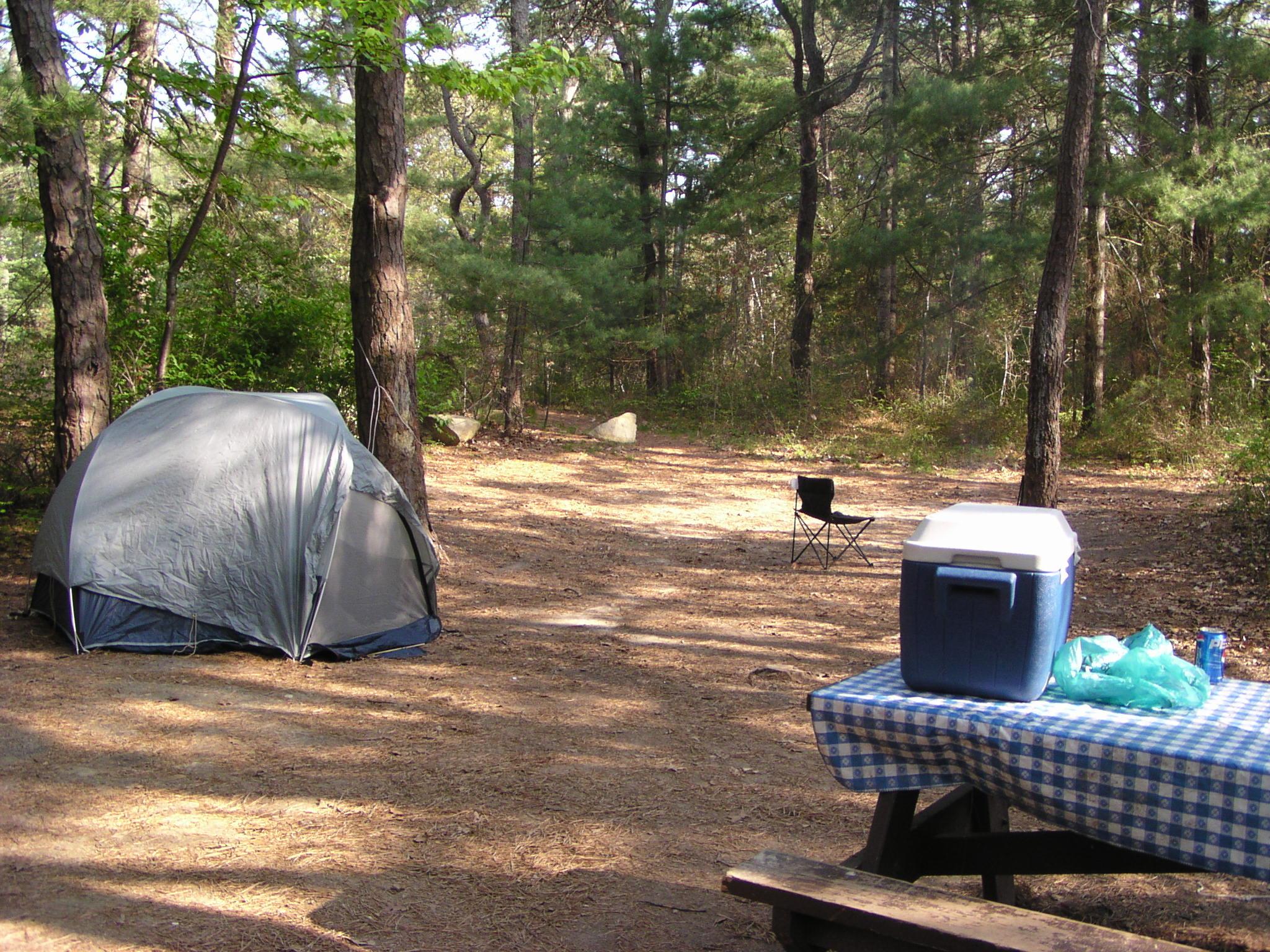 Nickerson state park camping deals