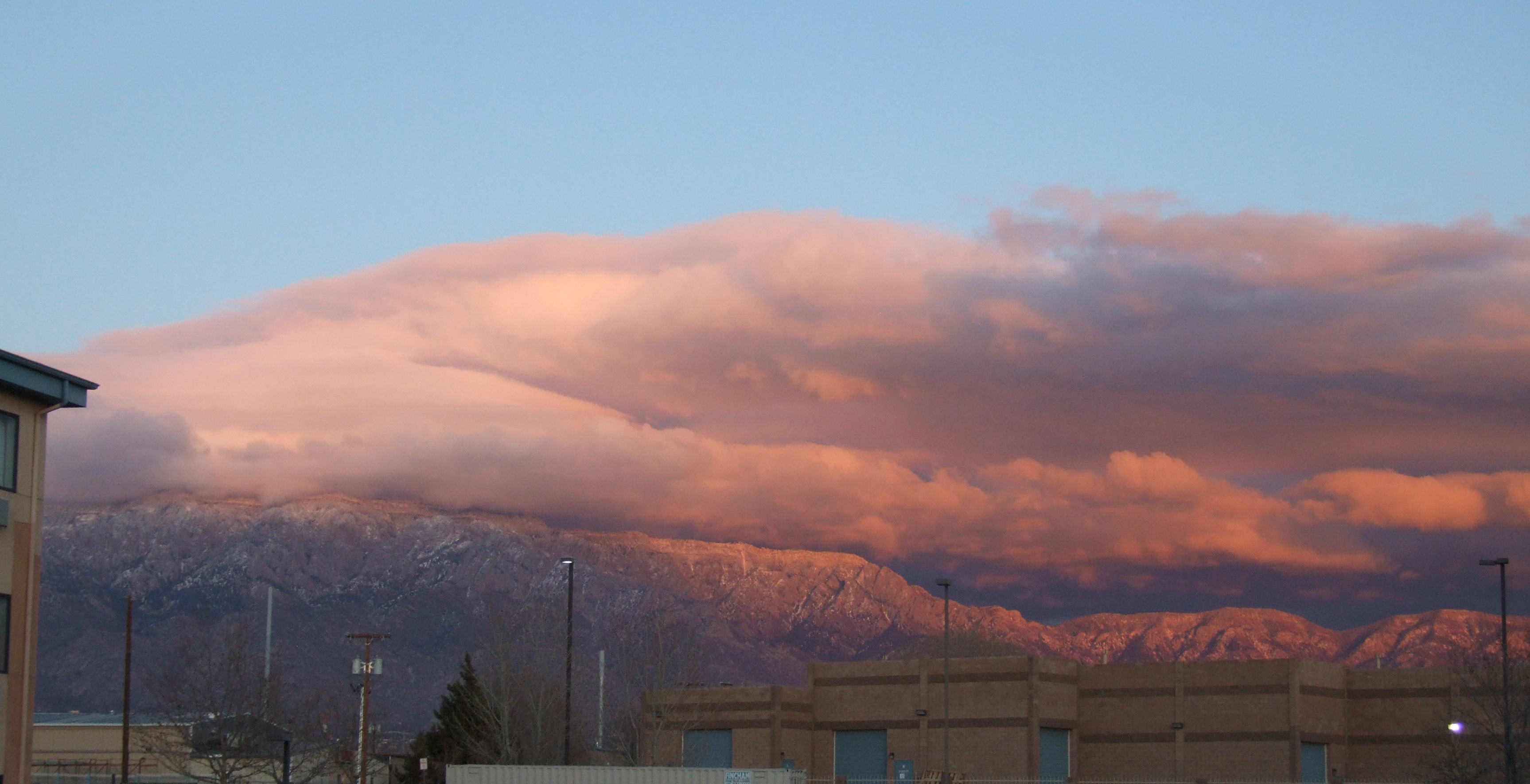 Albuquerque, New Mexico January 28, 2008