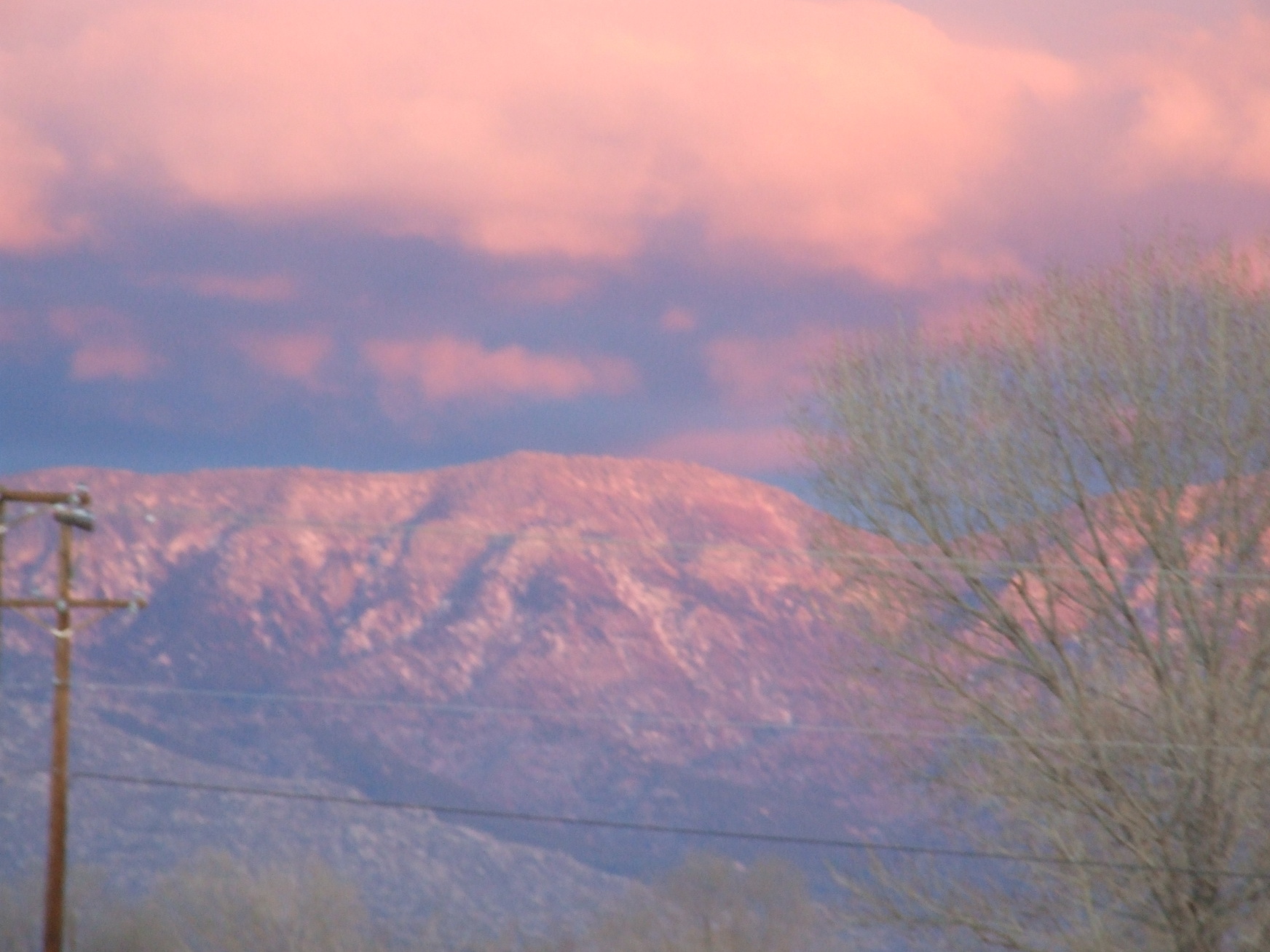 Albuquerque, New Mexico January 28, 2008