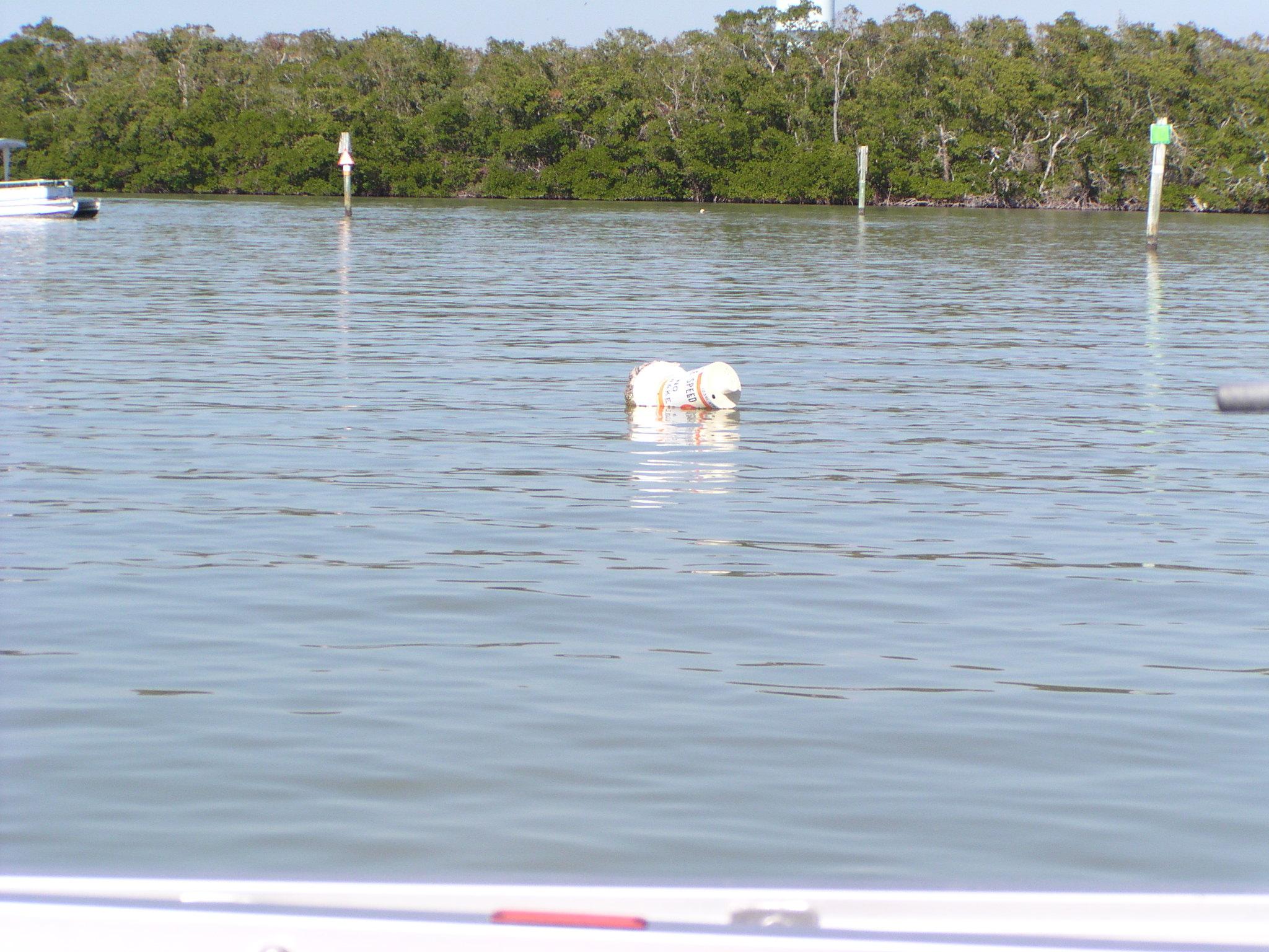 Boating in Estero Bay December 30, 2005