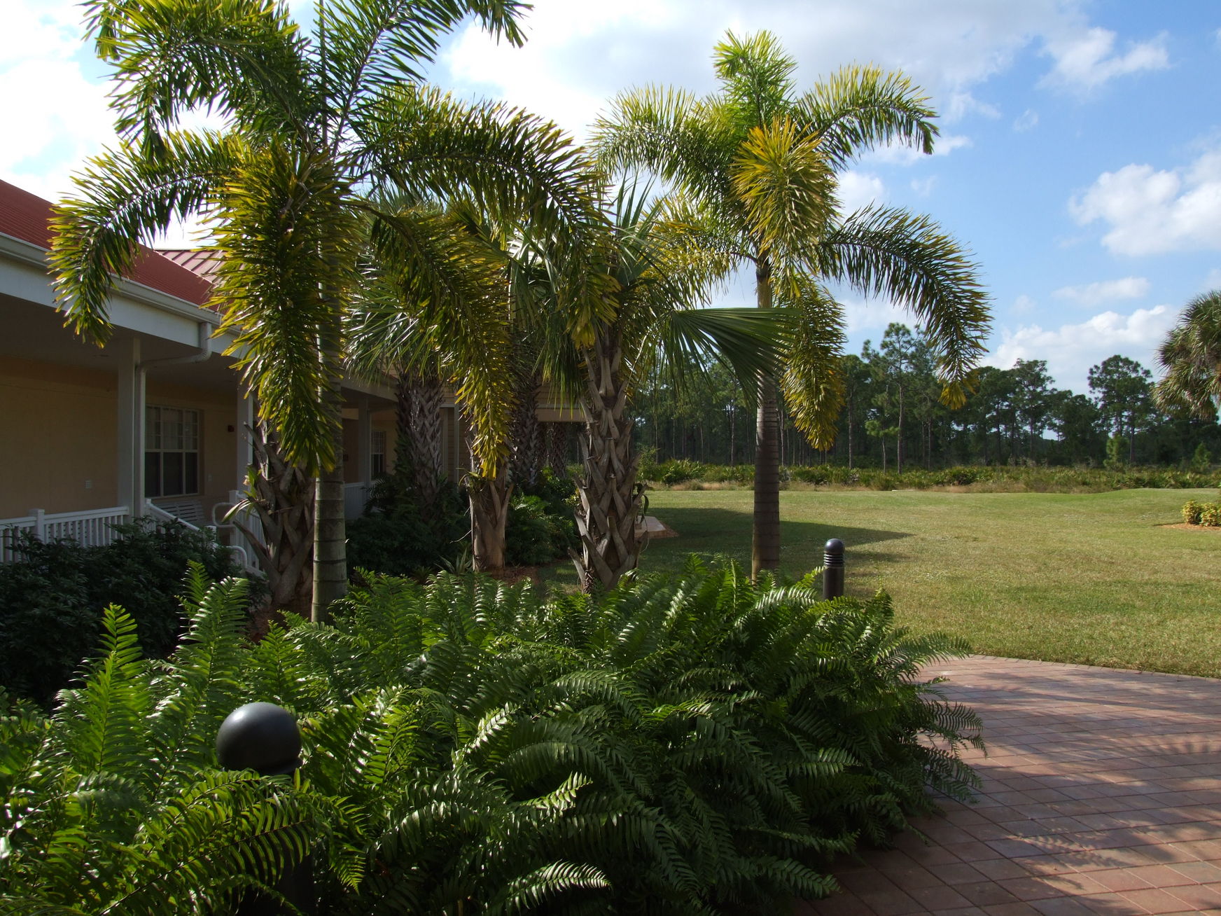 Bonita Springs Center for the Arts, Bonita Springs, Florida November