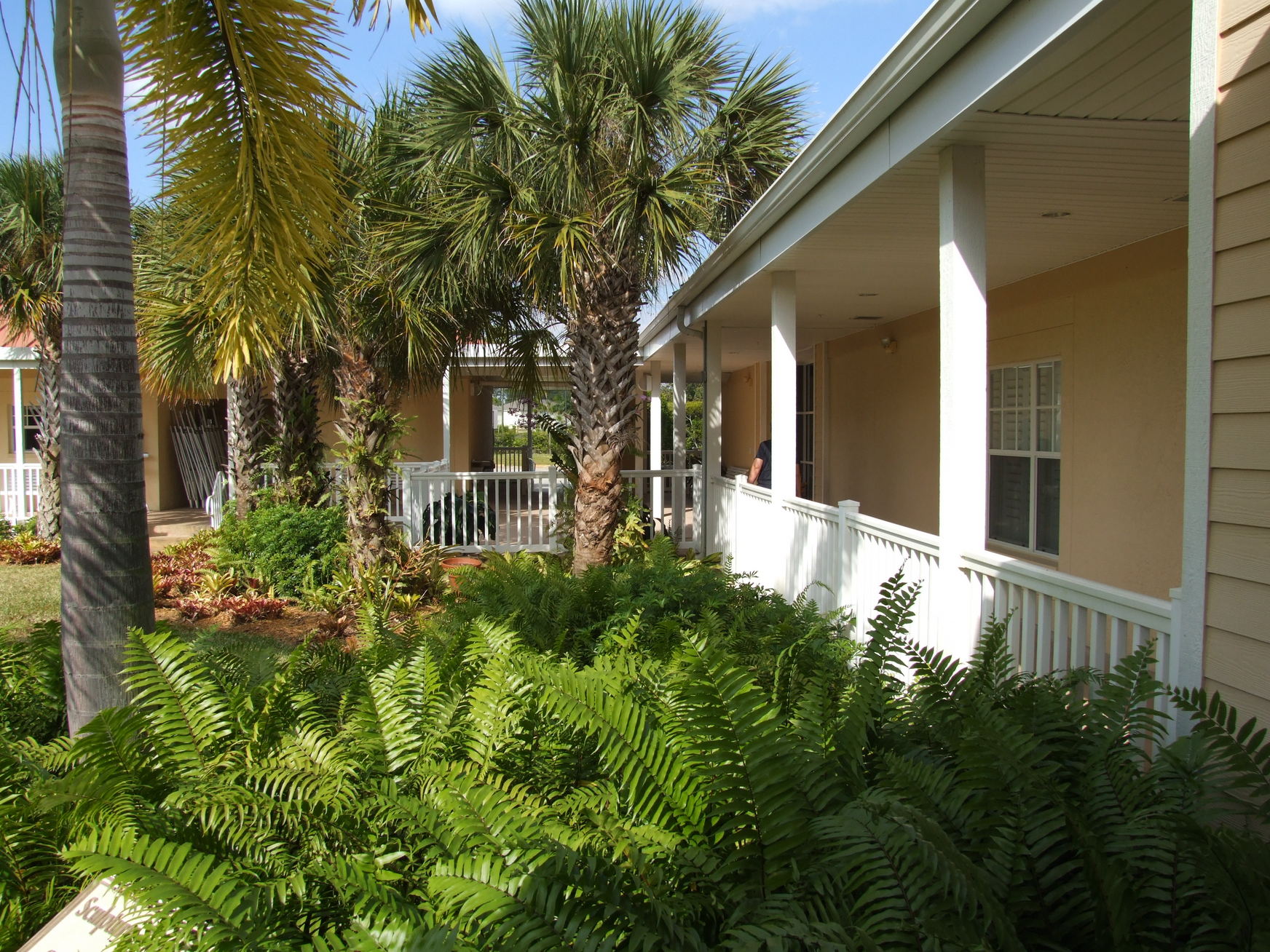 Bonita Springs Center for the Arts, Bonita Springs, Florida November