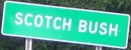 Entering Scotch Bush northbound