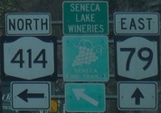 Near Watkins Glen