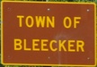 Entering Bleecker NB