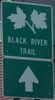 blackrivertrail-blackrivertrail-close.jpg