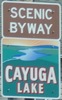 cayuga-sbcayuga-close.jpg