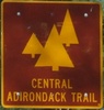 centraladirondacktrail-southny28northny30cat-close.jpg