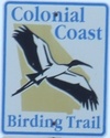 colonialcoastbirdingtrail-birding-close.jpg