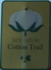 cottontrail-cottonus52-close.jpg