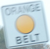 orangebelt-orangebelt-close.jpg