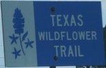 texaswildflowertrail-twt-close.jpg
