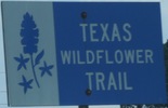 texaswildflowertrail-twt-close.jpg