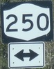 250-ny250-close.jpg