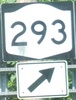 293-us9wny293ny218-close.jpg