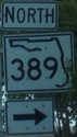 389-fl389-close.jpg