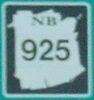 925-exit488-close.jpg