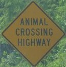 animalcrossinghighway.jpg