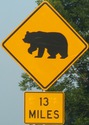 bear-bear13miles-close.jpg