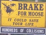 brakeformoose.jpg