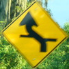 curveleftcross-yellow-close.jpg