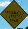 designated-livestock-close.jpg