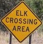 elkcrossingarea.jpg