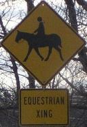 equestrianxing.jpg