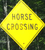 horsecrossing-horsecrossing-close.jpg