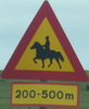 horsewarning-horsewarning-close.jpg