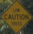 lowcautiontrees.jpg