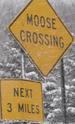 moosecrossing-next3miles.jpg