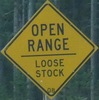 openrange-openrangeloosestock-close.jpg