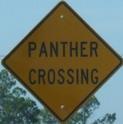 panthercrossing.jpg