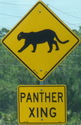 pantherxing-pantherxing-close.jpg