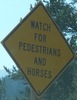 pedsandhorses-pedsandhorses-close.jpg