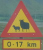 sheepxing-sheeptriangle-close.jpg