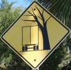 trucktree-trucktree-close.jpg