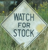 watchforstock-watchforstock-close.jpg