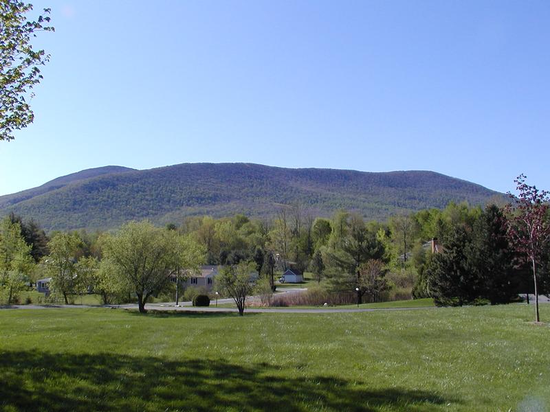 Spring in Williamstown, May 6, 2001