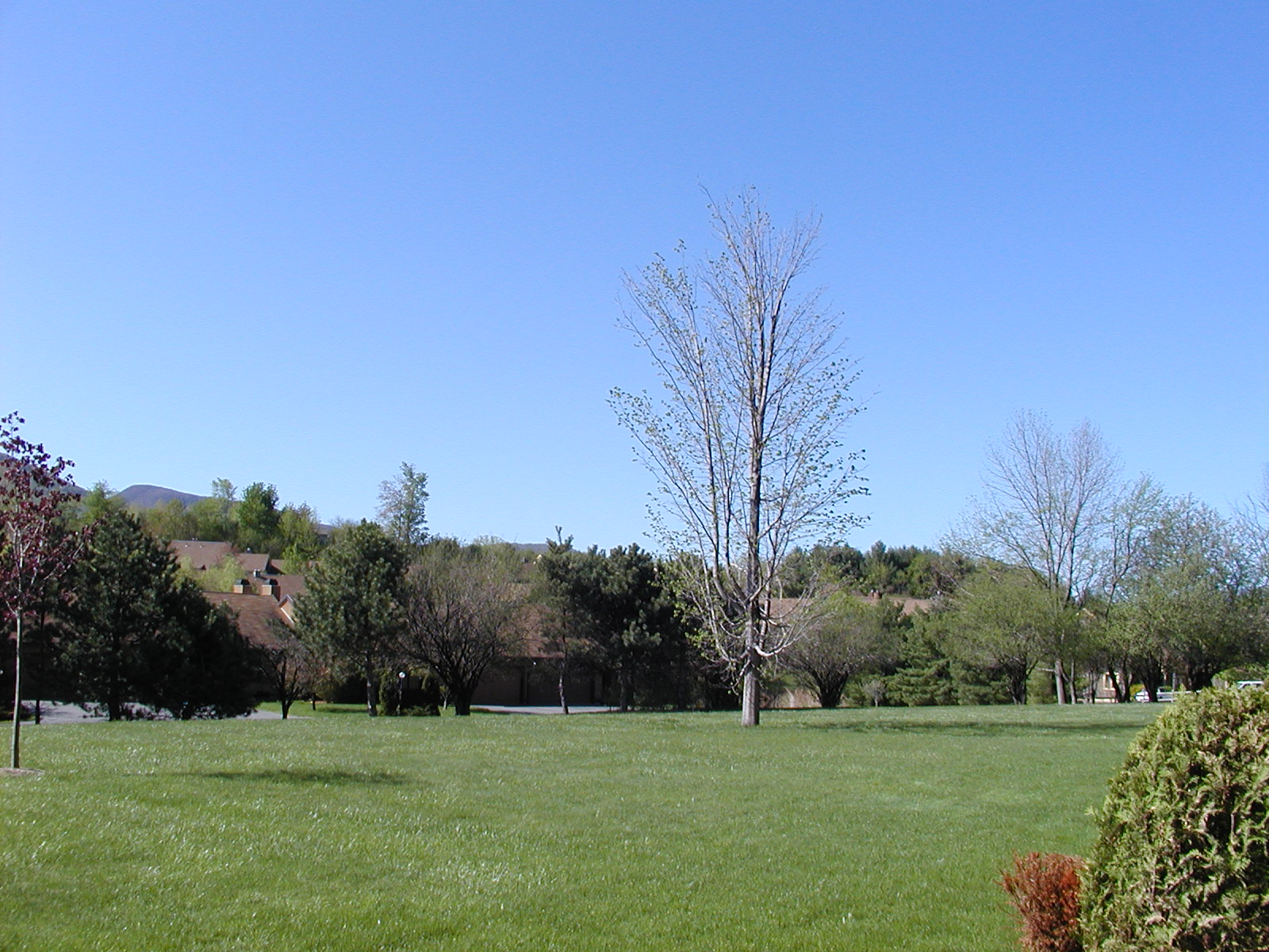 Spring in Williamstown, May 6, 2001