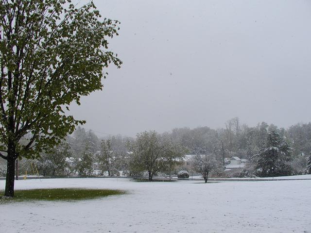 Late Spring Snow in Williamstown - May 18, 2002 Late Spring Snow in Williamstown - May 18, 2002