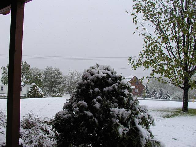 Late Spring Snow in Williamstown - May 18, 2002 Late Spring Snow in Williamstown - May 18, 2002