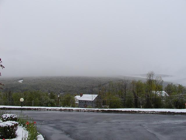 Late Spring Snow in Williamstown - May 18, 2002 Late Spring Snow in Williamstown - May 18, 2002