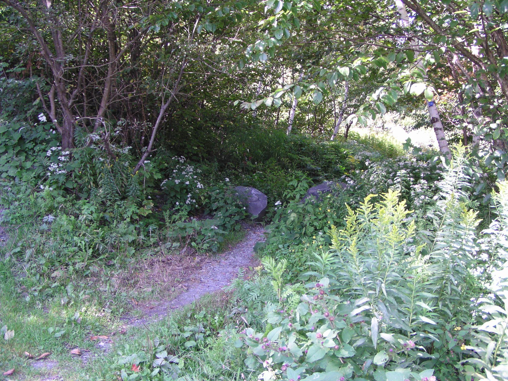 Taconic Crest Trail, Petersburg, New York September 6, 2004
