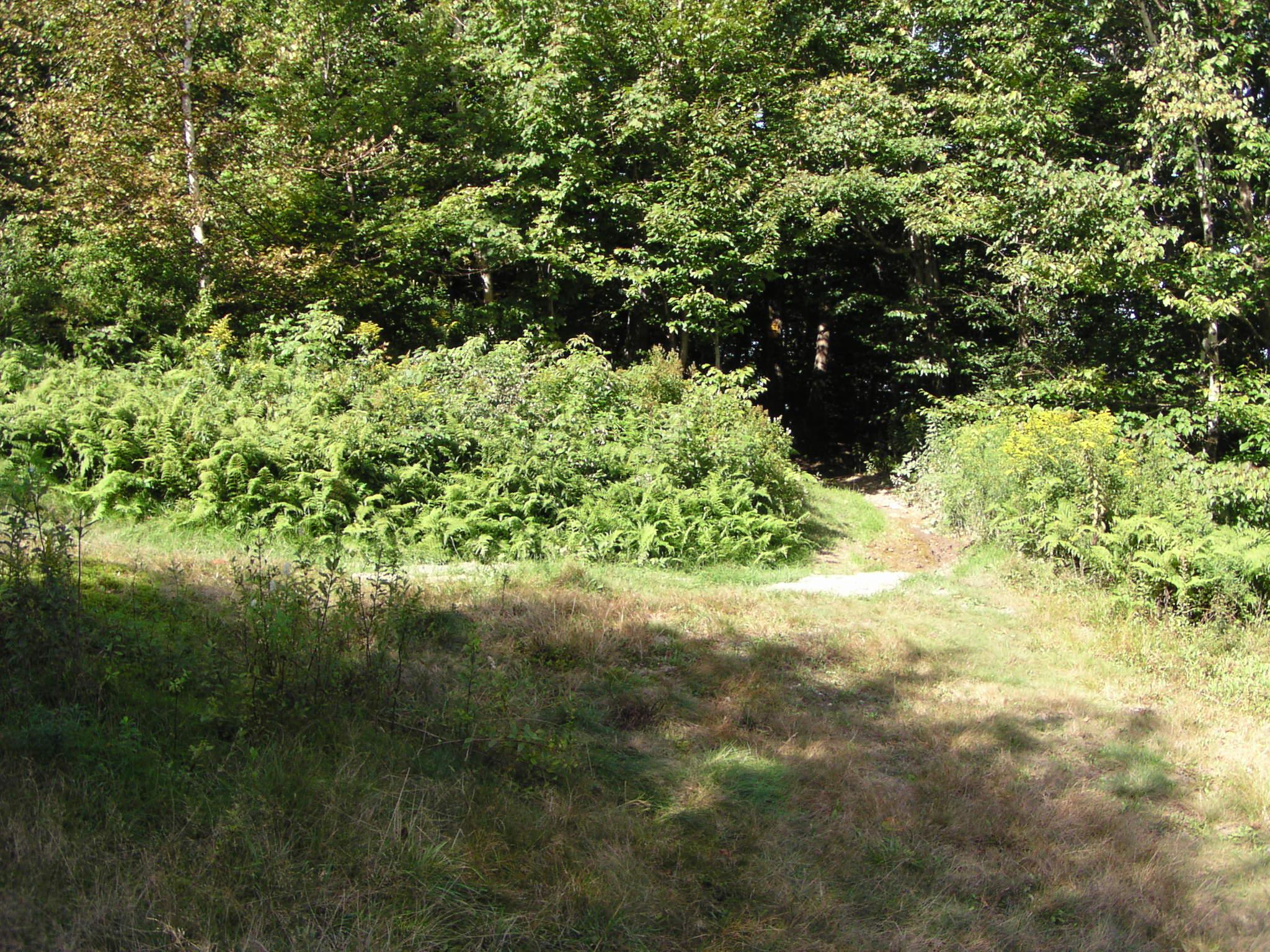 Taconic Crest Trail, Petersburg, New York September 6, 2004