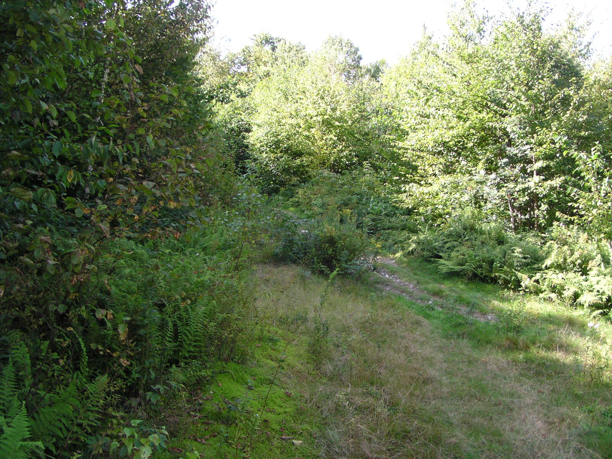Taconic Crest Trail, Petersburg, New York September 6, 2004