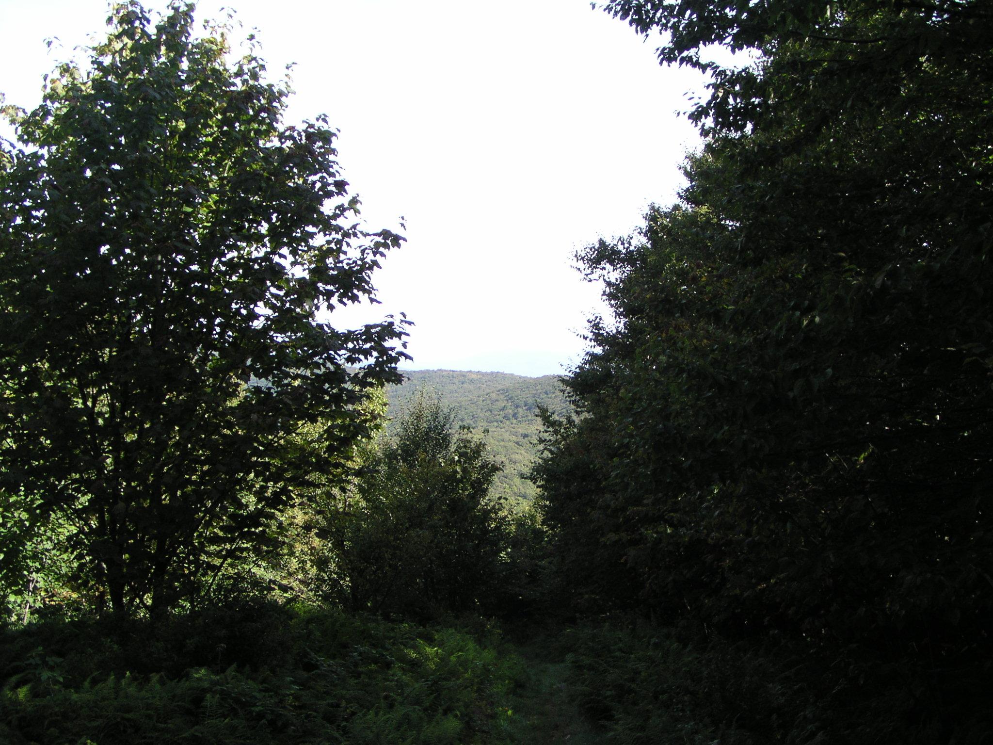 Taconic Crest Trail, Petersburg, New York September 6, 2004